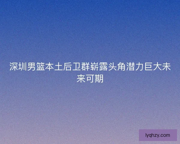 深圳男篮本土后卫群崭露头角潜力巨大未来可期
